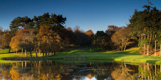 Druids Glen Course