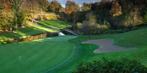 Druids Glen - 12th Hole