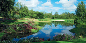 Ile Aux Cerfs - Golf Club 17th