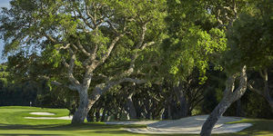 Real Club Valderrama Golf Club - 7th Hole
